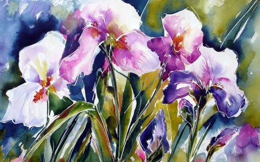 763074 (a): :2560x1600
